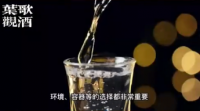 中国酒文化科普系列 ｜观闻品是啥意思？｜叶歌观酒