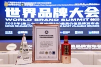 小糊涂仙实力斩获DMAA国际数字营销奖权威认证