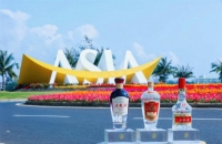 以和美 赴新程 五粮液“礼赞”博鳌亚洲论坛成立25周年